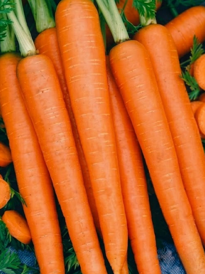 CARROT SEEDS