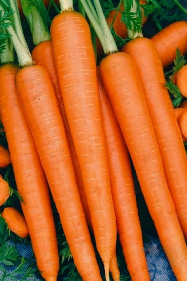 CARROT SEEDS <br> بذور الجزر