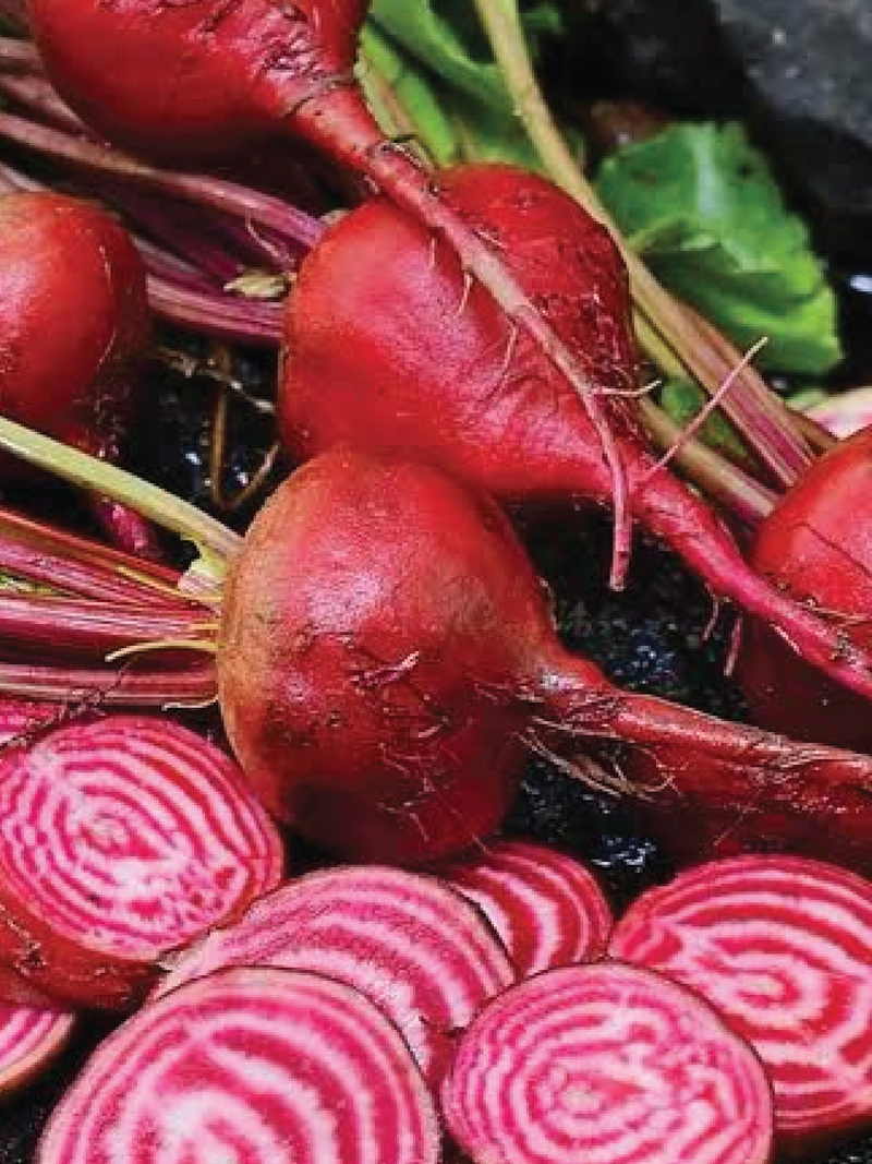 CHIOGGIA BEETROOT SEEDS <br> بذور الشمندر كيوجيا