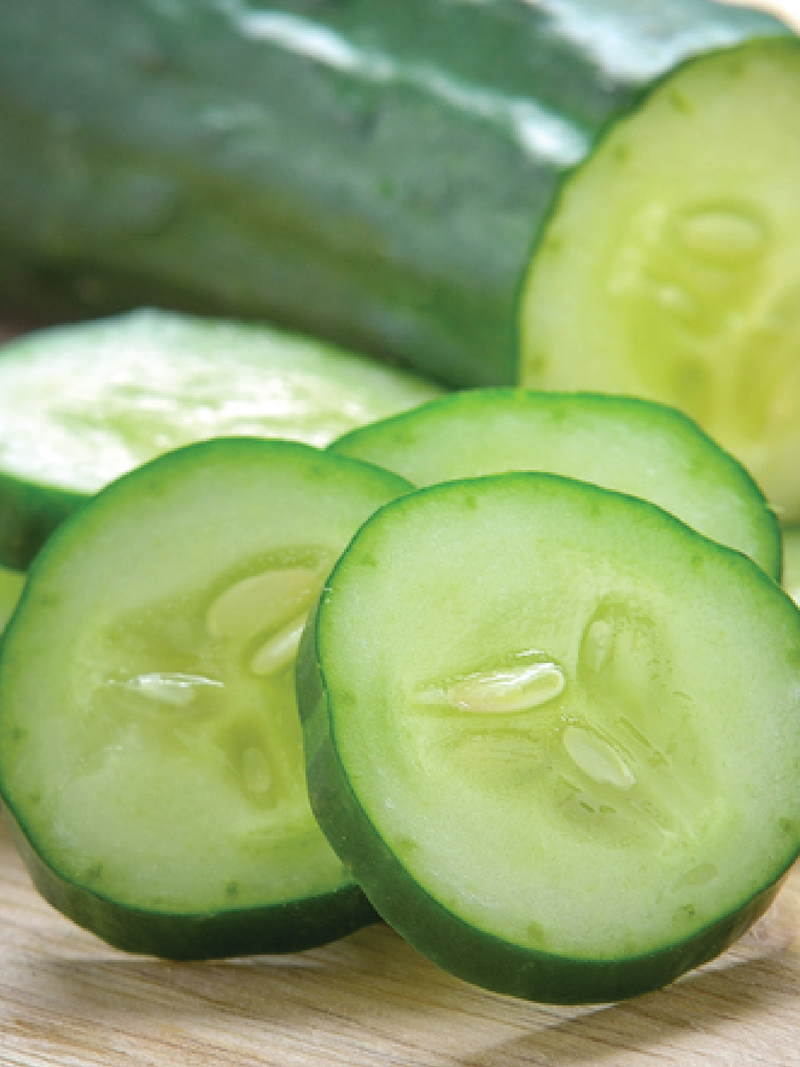CUCUMBER SEEDS <br> بذور الخيار
