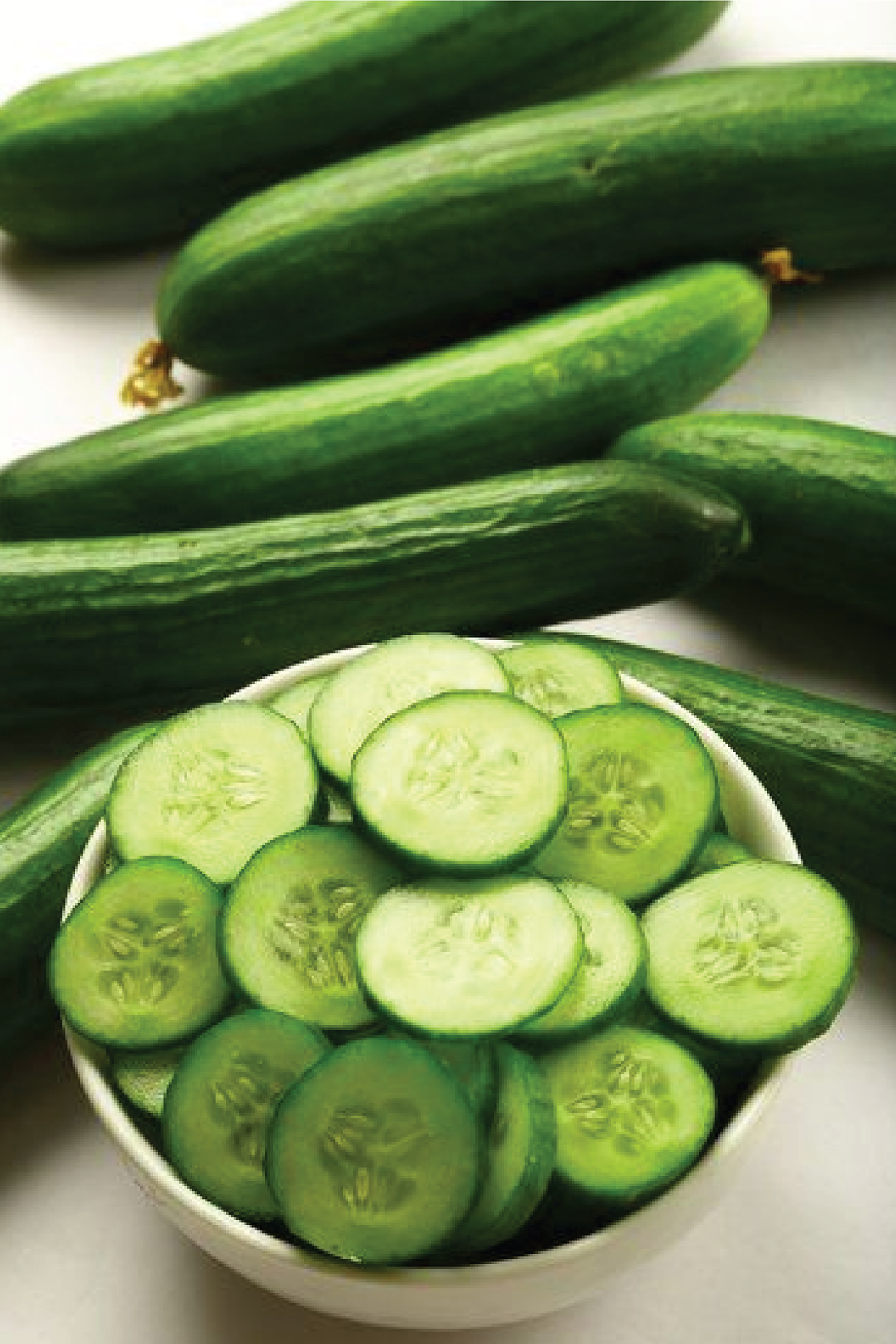 ORGANIC STRAIGHT EIGHT CUCUMBER SEEDLING <br>شتلات الخيار ستريت ايت العضوية