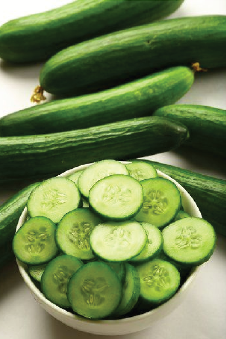 ORGANIC STRAIGHT EIGHT CUCUMBER SEEDLING <br>شتلات الخيار ستريت ايت العضوية