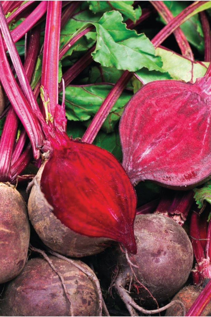 BETROIT BEETROOT SEEDLING<br> شتلات الشمندر ديترويت