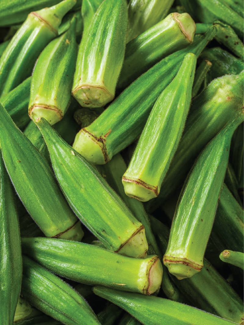 GREEN OKRA SEEDS <br> بذور البامية الخضراء