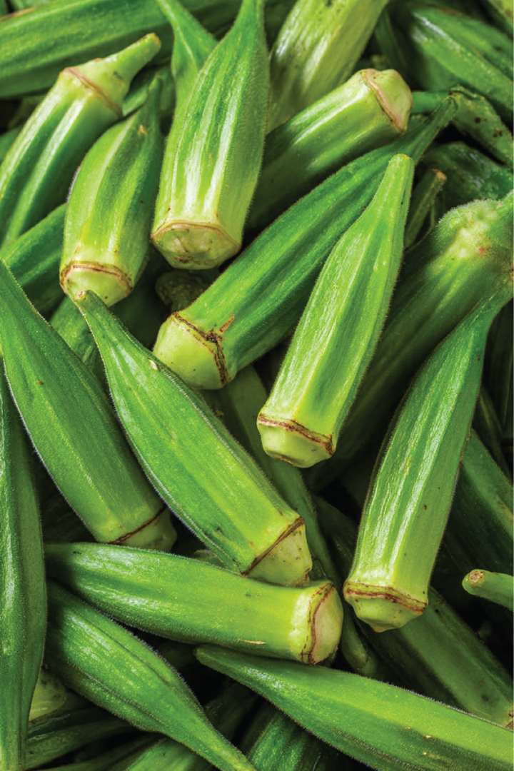 ORGANIC GREEN OKRA SEEDLING <br>شتلات البامية الخضراء العضوية