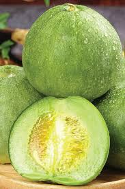 EMARALD MELON SEEDS