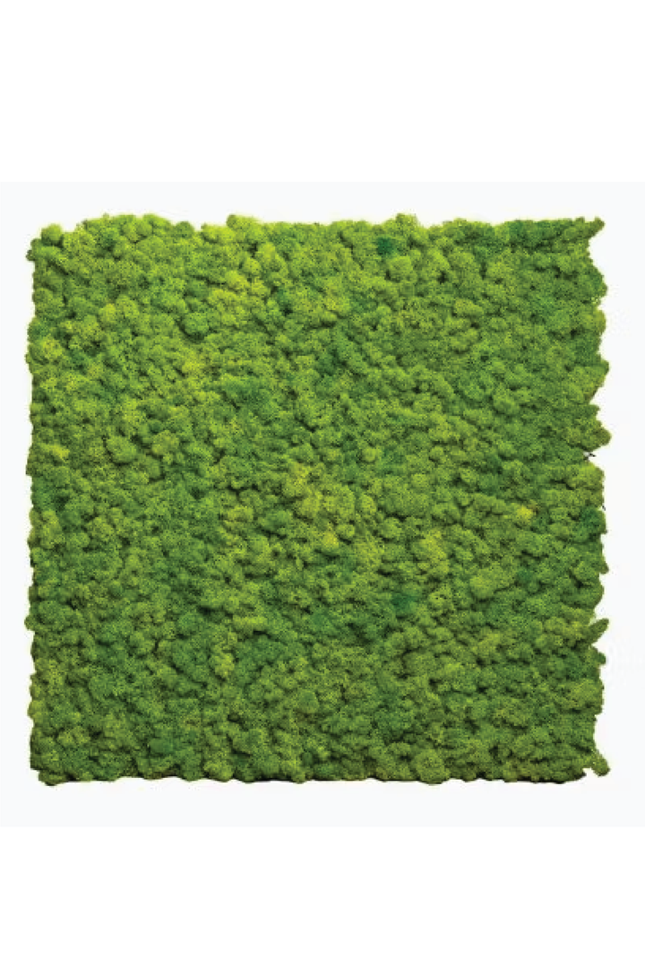 MOSS