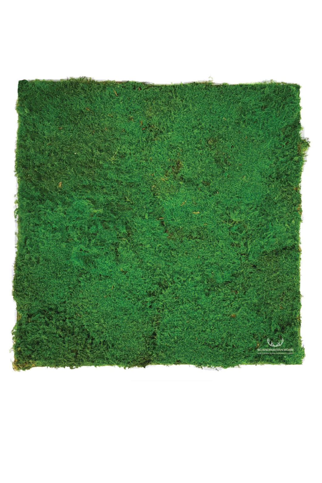 MOSS