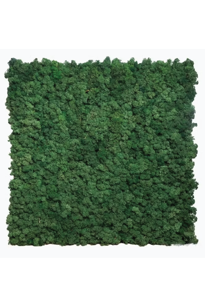 MOSS