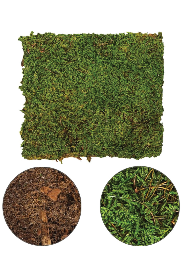 MOSS