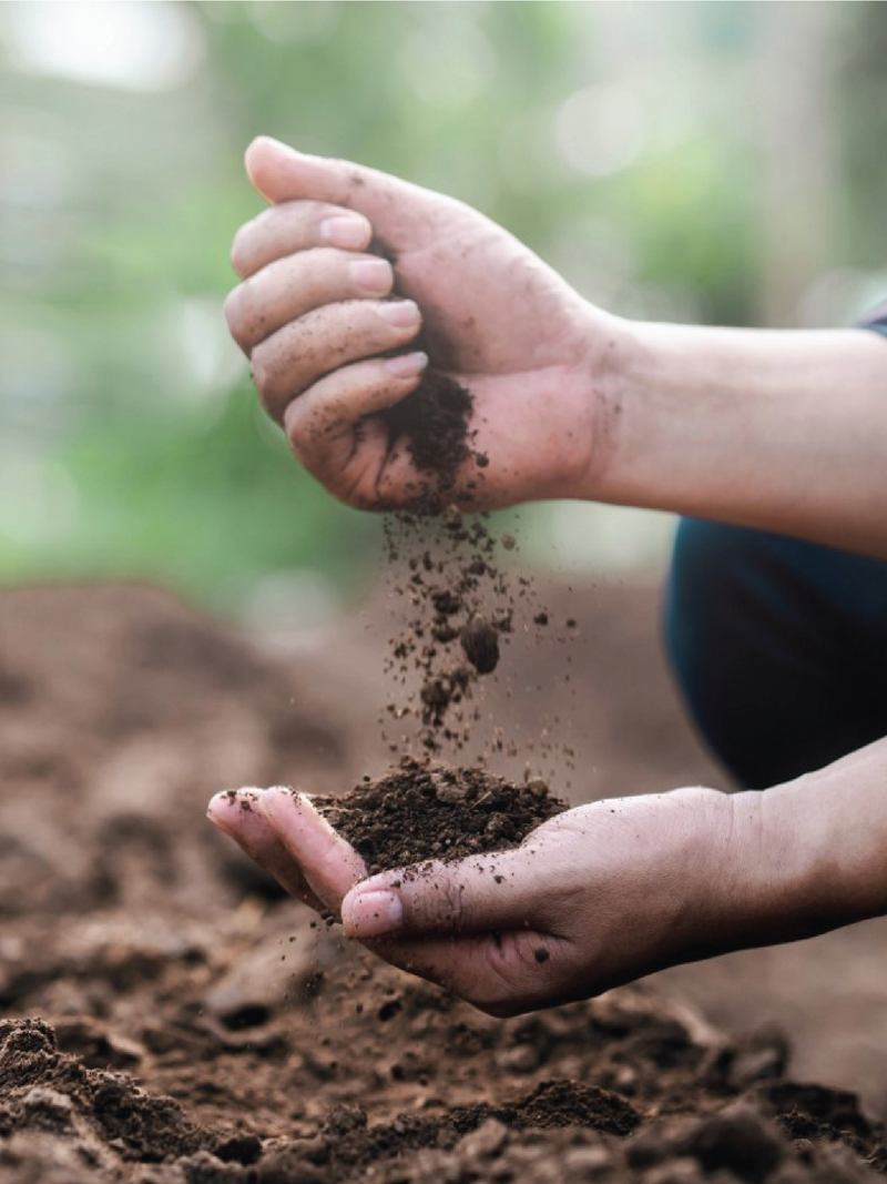 ORGANIC PHOSPHOROUS <br> فوسفور عضوي