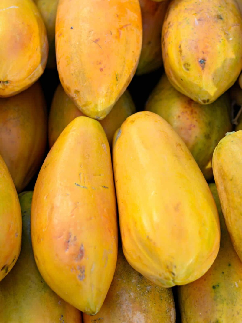 GOLDEN CREAMY PAPAYA SEEDS