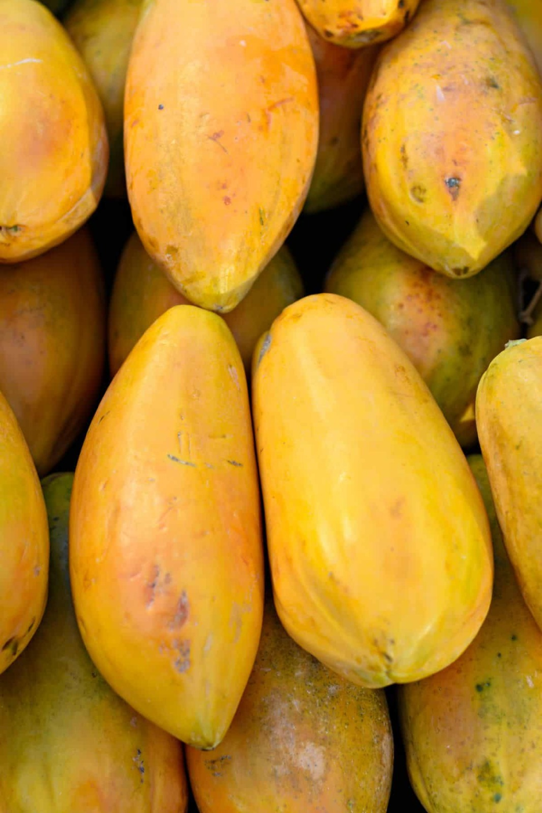 GOLDEN CREAMY PAPAYA SEEDS