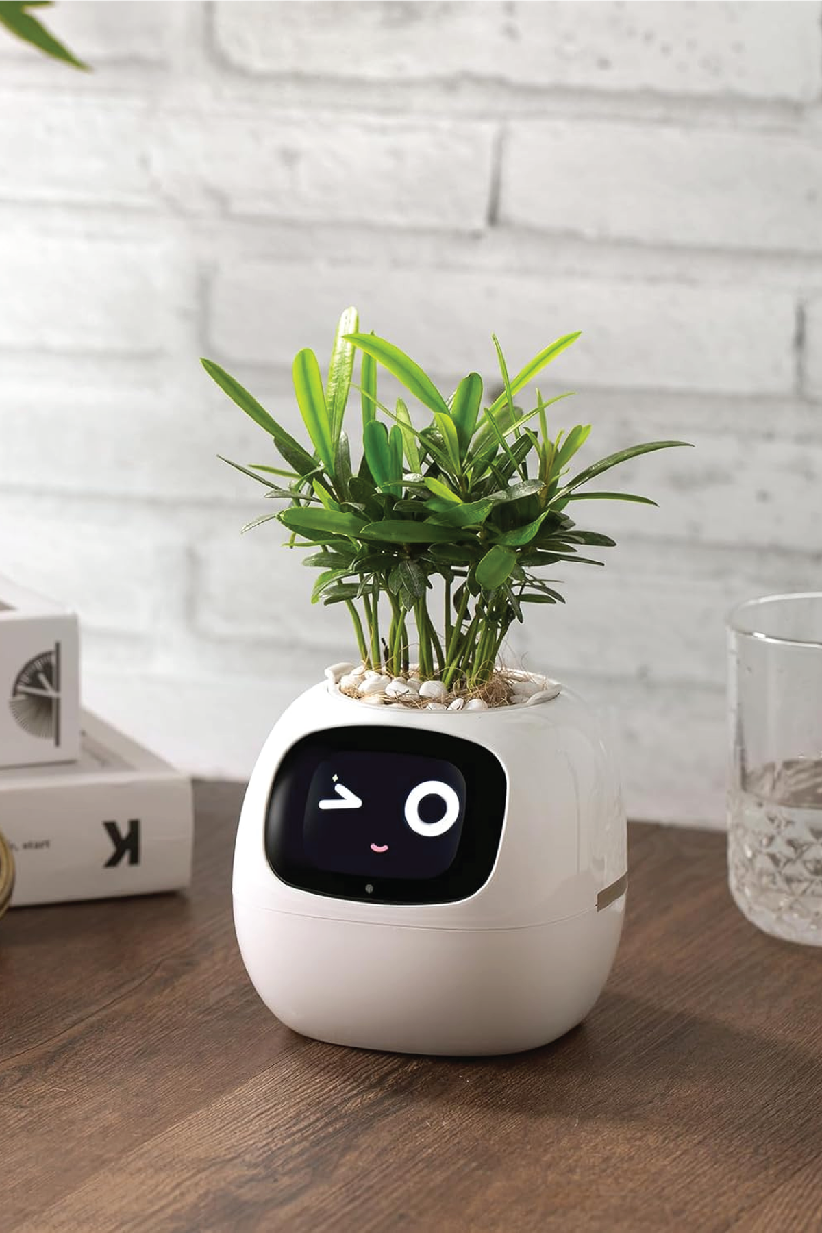 house plant robot SMART PET PLANTER ROBOT – Plantology Lab Trading