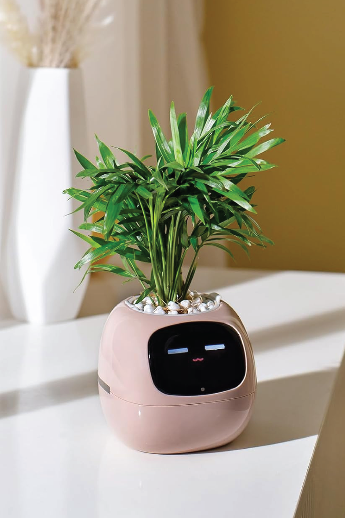 plant smart pot SMART PET PLANTER ROBOT – Plantology Lab Trading