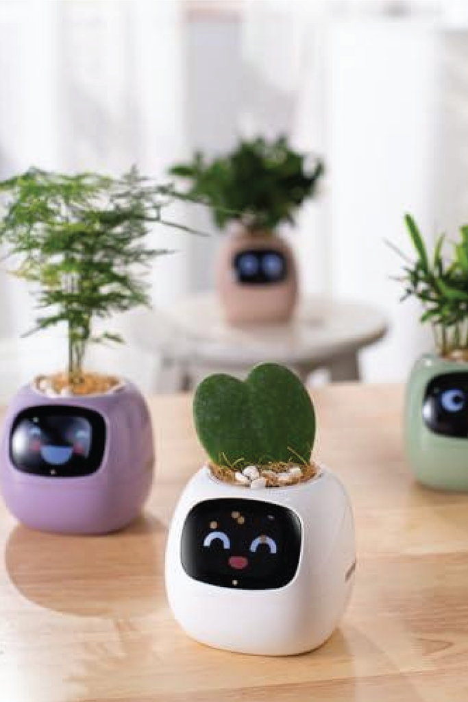plant pot with digital face SMART PET PLANTER ROBOT – Plantology Lab Trading