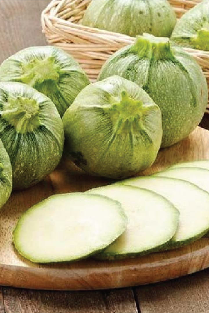 ORGANIC ROUND ZUCCHINI SEEDLING <br> شتلات الكوسا الدائرية العضوية