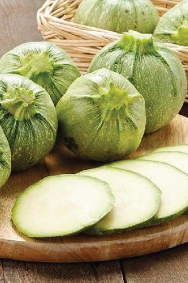 ROUND ZUCCHINI SEEDS <br> بذور الكوسة المستديرة