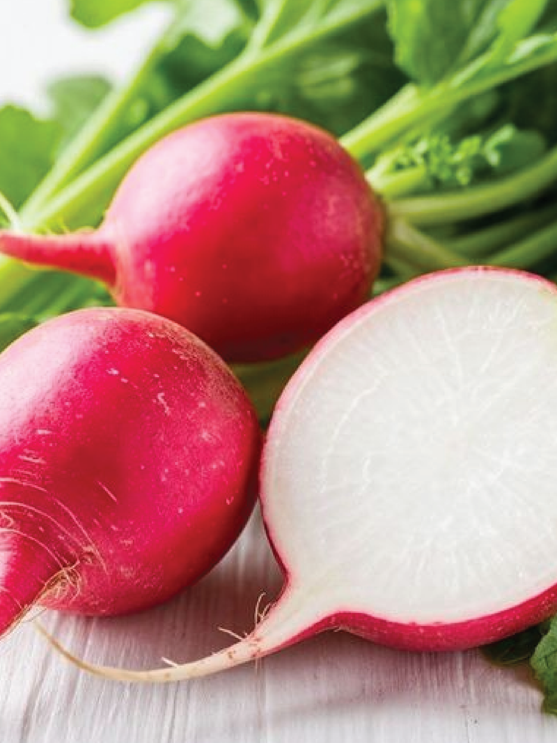 CHERRY RADISH SEEDS <br> بذور الفجل الكرزي