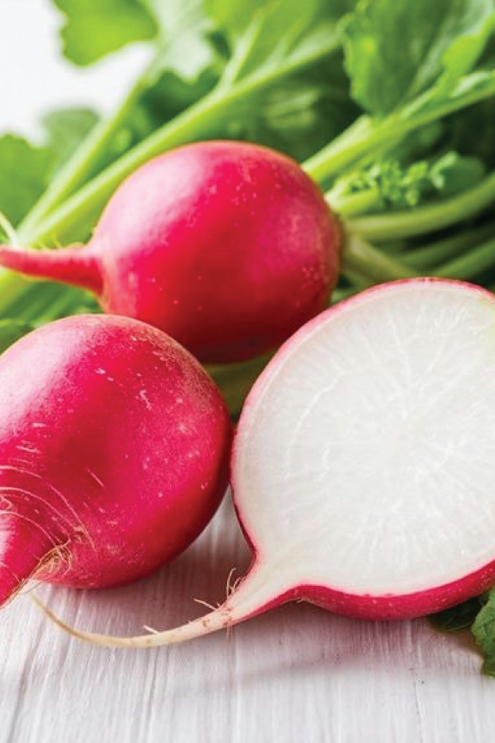 ORGANIC CHERRY RADISH SEEDLING<br>شتلات الفجل الكرزي العضوية&amp;nbsp;
