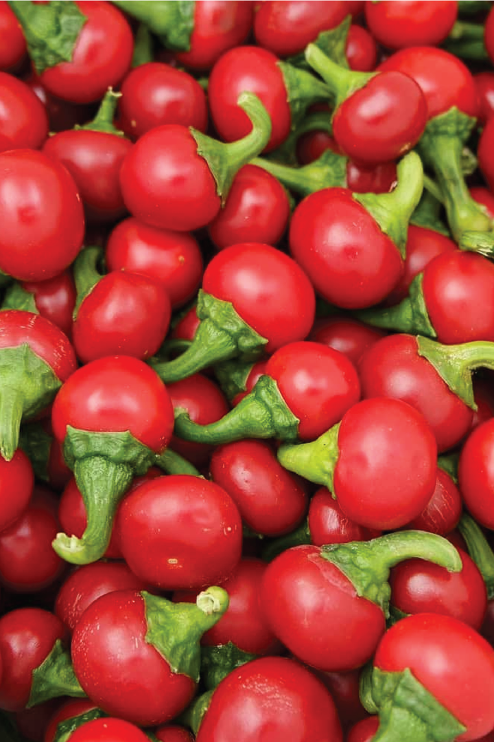 ORGANIC RED CHERRY HOT PEPPER SEEDS <br> بذور الفلفل الحار الكرزي الأحمر