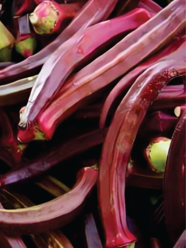 RED OKRA SEEDS <br> بذور البامية الحمراء