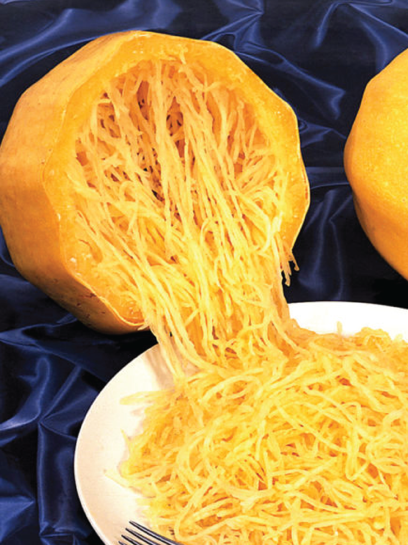 ORGANIC SPAGHETTI SQUASH SEEDLING <br> شتلات القرع السباجيتي العضوية