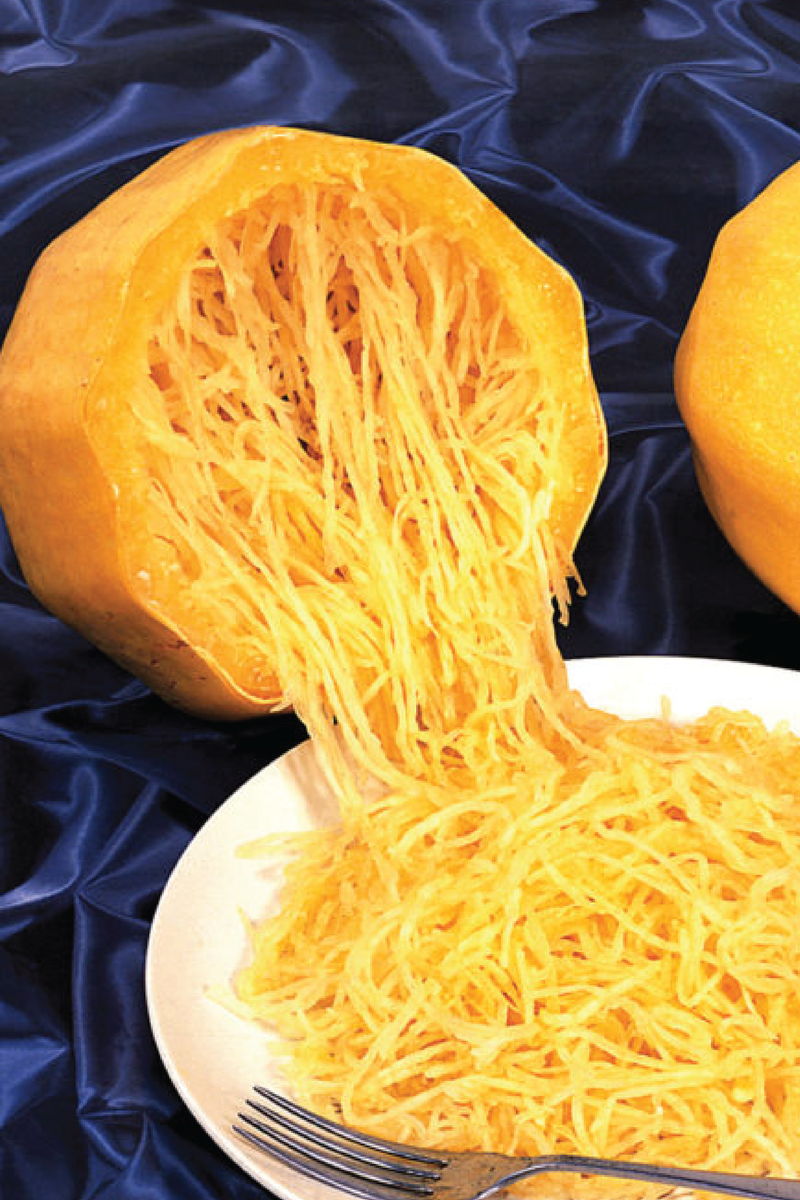 ORGANIC SPAGHETTI WINTER SQUASH SEEDLING