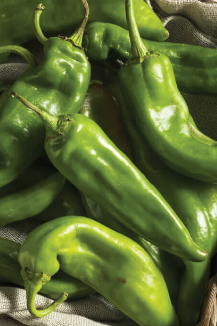 ORGANIC ANAHEIM PEPPER SEEDLING <br>شتلات فلفل أناهايم العضوية