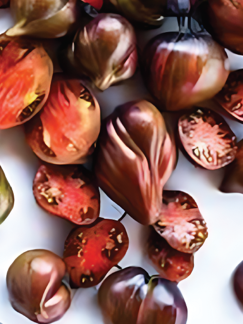 ORGANIC STARFIGHTER TOMATO SEEDLING <br>شتلات الطماطم ستار فايتر العضوية