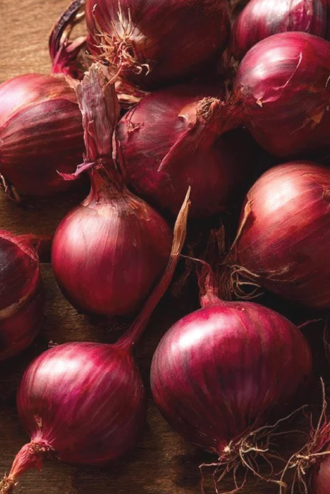 RED CREOLE ONION SEEDS