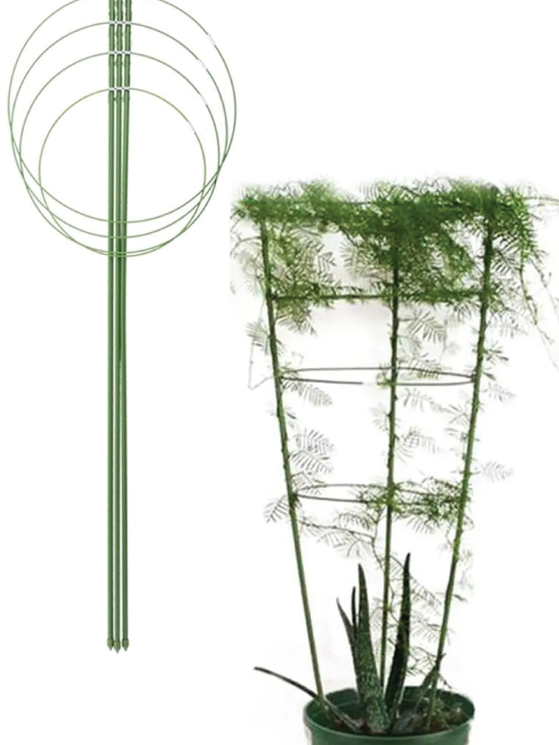 PLANTS SUPPORT STAKES