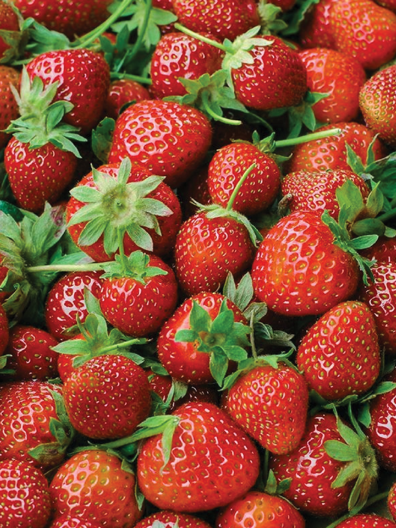 STRAWBERRY SEEDS