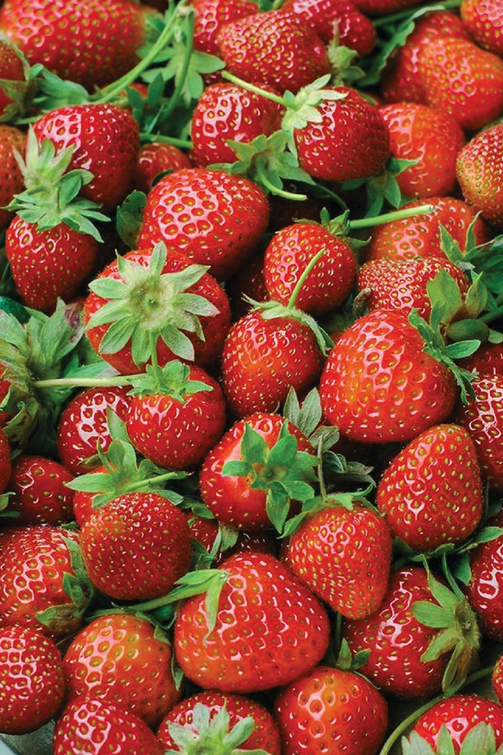 STRAWBERRY SEEDS