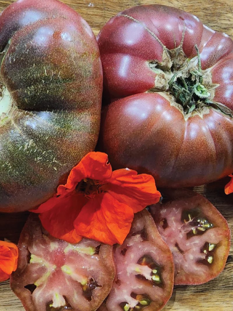 ORGANIC TOMATO PURPLE REIGN SEEDLING <br> شتلات الطماطم بيربل ريجن العضوية