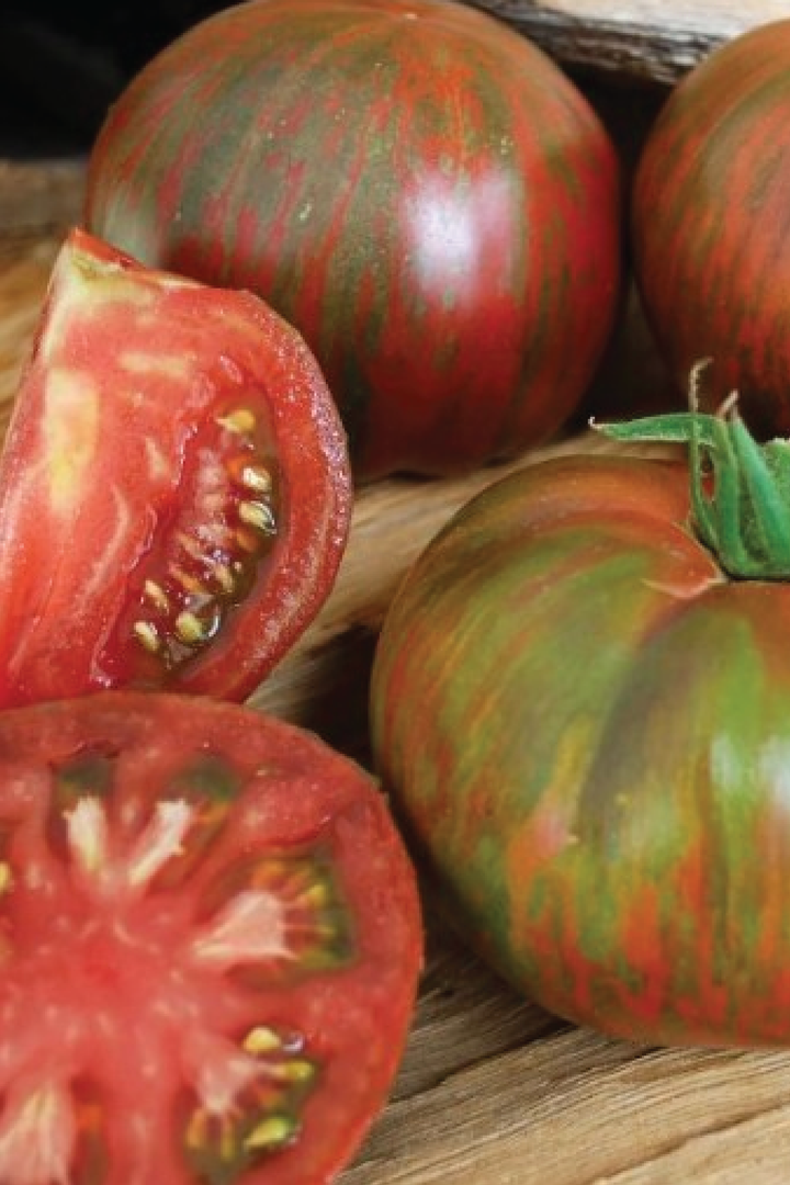 ORGANIC BERKELEY TIE DIE TOMATO SEEDLING