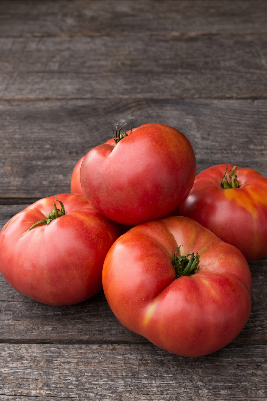 TOMATO GERMAN JOHNSON SEEDS