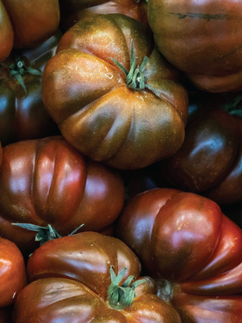 BLACK KRIM TOMATO SEEDS <br> بذور طماطم بلاك كريم
