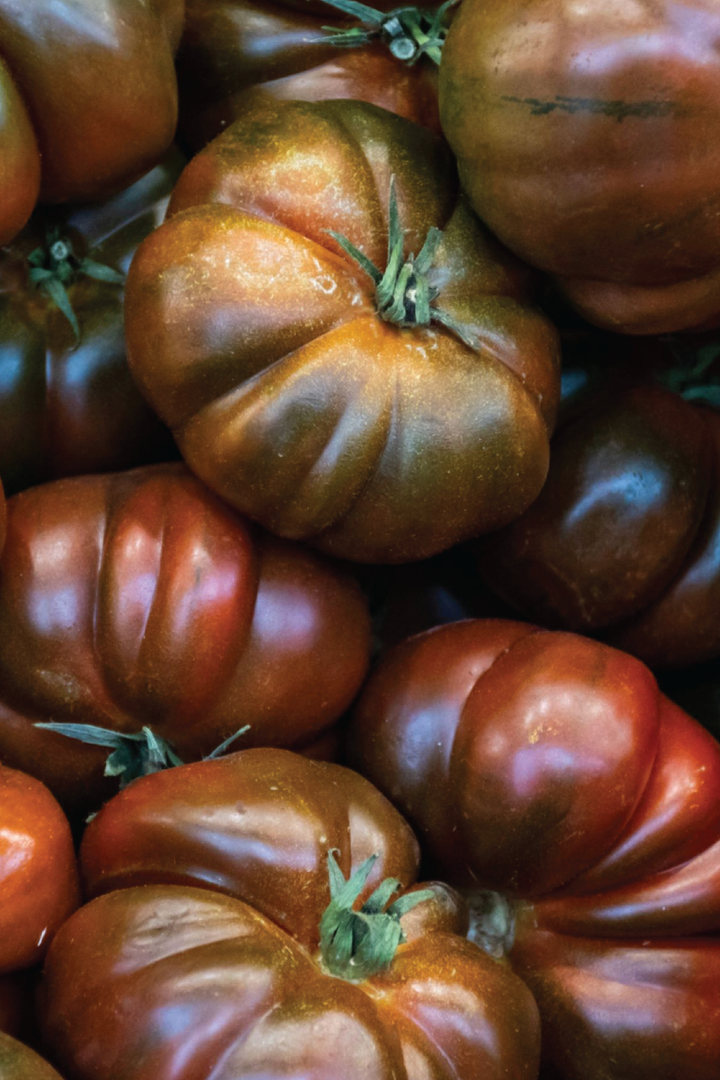 BLACK KRIM TOMATO SEEDS <br> بذور طماطم بلاك كريم