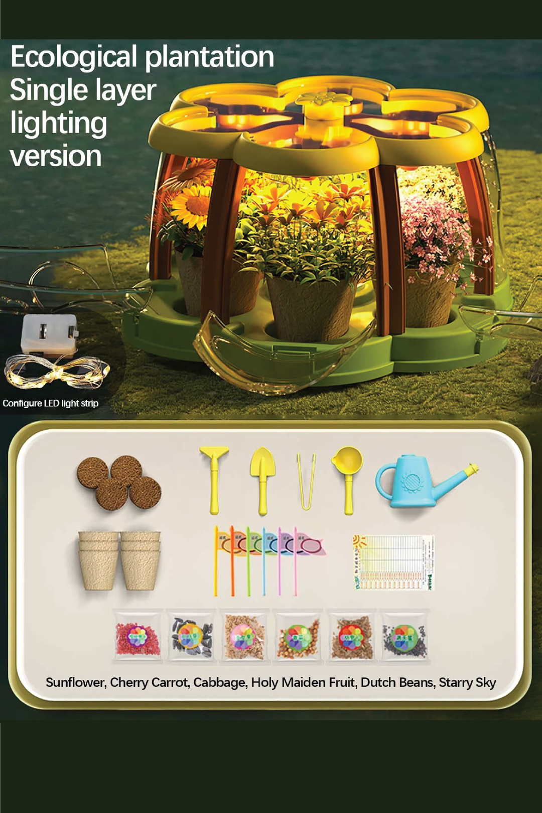 PLANT GROWING KIT FOR KIDS