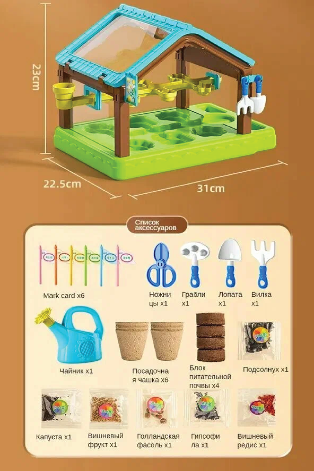 PLANT GROWING KIT FOR KIDS