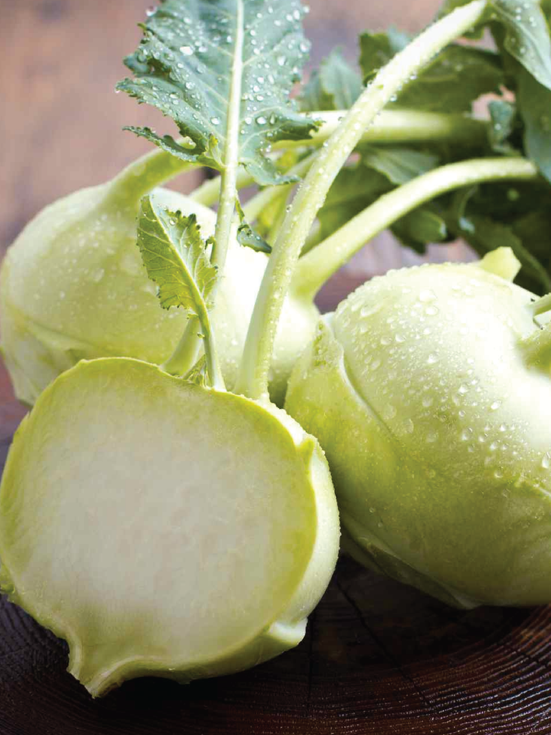 KOHLRABI SEEDS <br> بذور الكُرُنْب الساقي