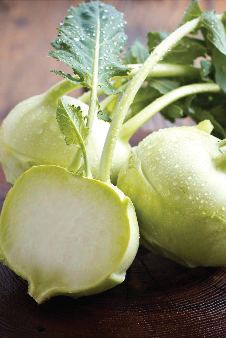 KOHLRABI SEEDS <br> بذور الكرنب