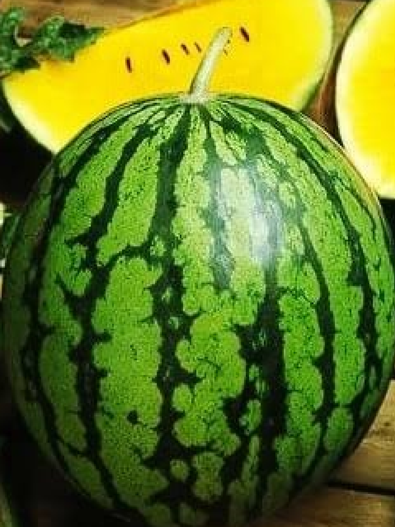 YELLOW WATERMELON SEEDS