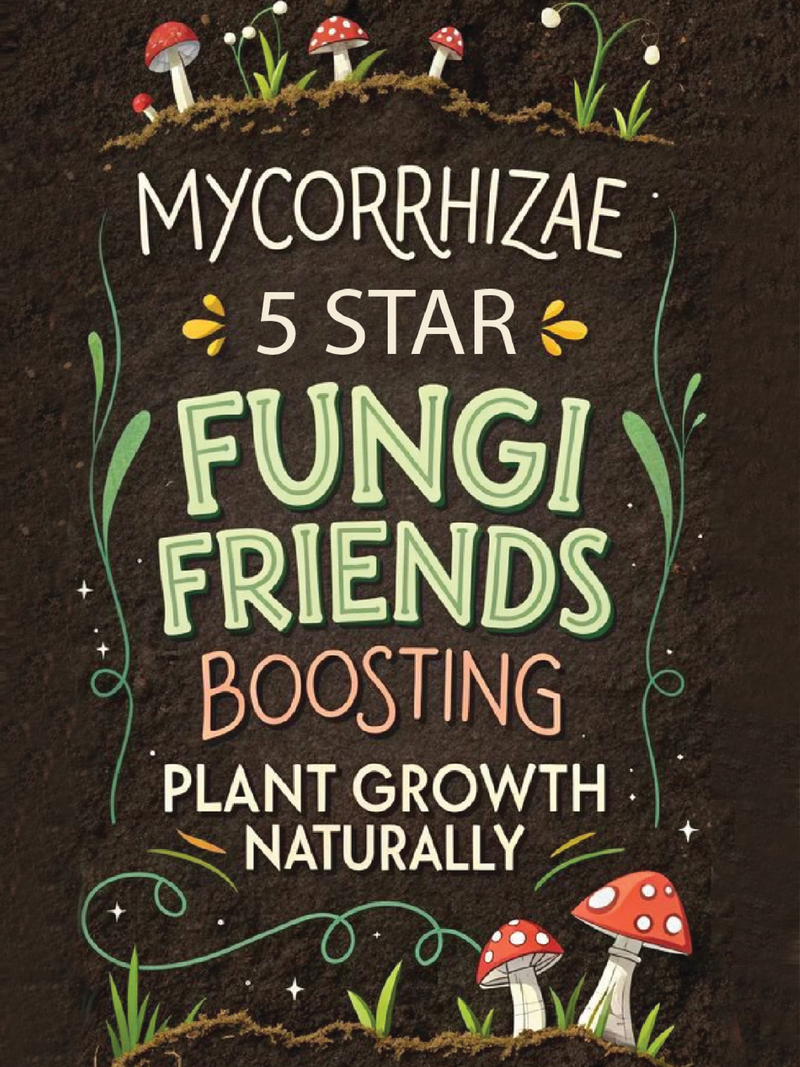 MYCORRHIZAE 5 STAR <br> مايكورايزا الجذور 5 نجوم
