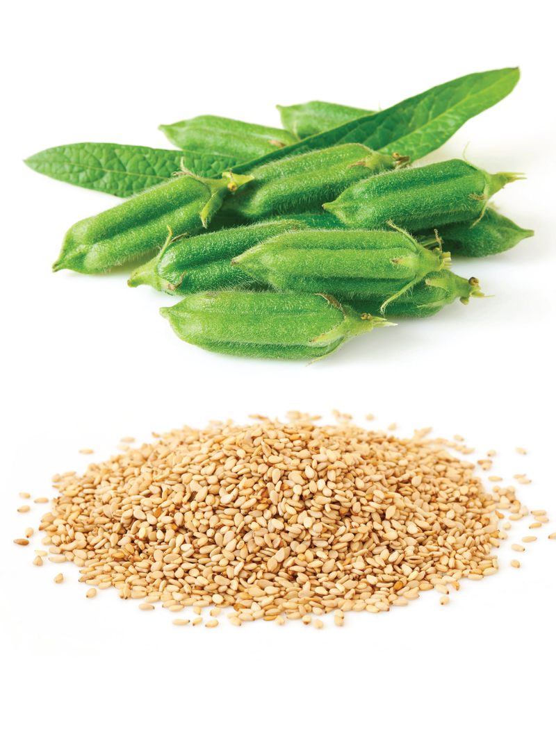 WHITE SESAME SEEDS <br> بذور السمسم الأبيض