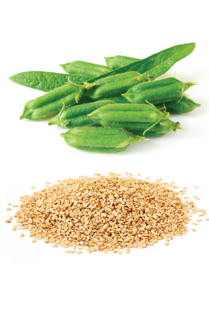 WHITE SESAME SEEDS <br> بذور السمسم الأبيض